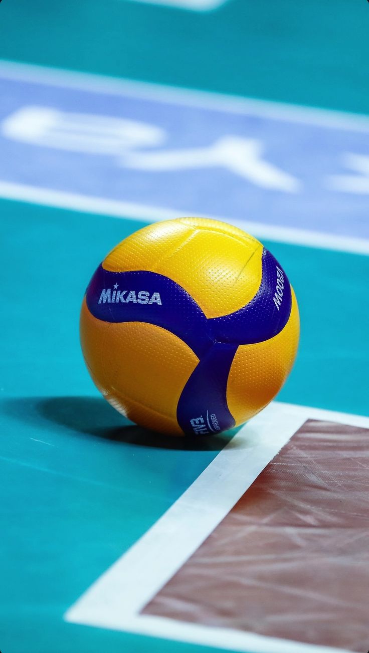 Volleyball Championship